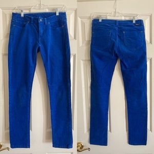 Patagonia | Blue Corduroy Pants